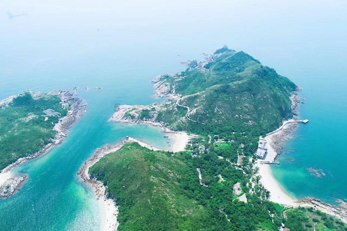 除虫大师